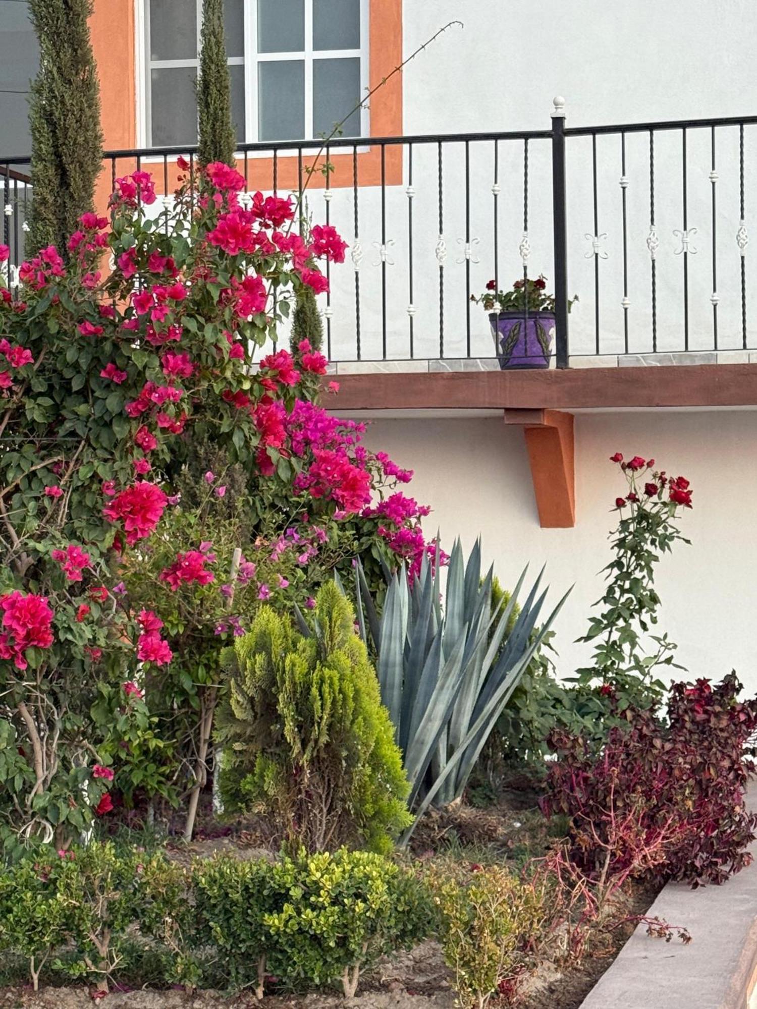 Hotel La C San Jose Iturbide Luaran gambar